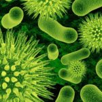 Внеземные бактерии смертоносны для человечества